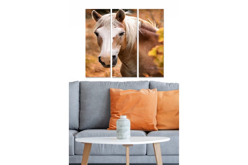 Tavla Animal 3-pack Flerfärgad - 20x50 cm - Inredning - Tavlor & konst - Canvastavlor