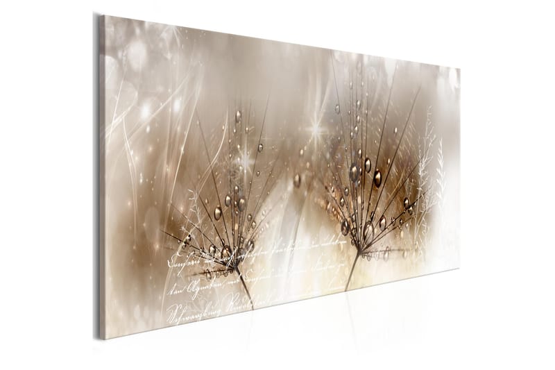 Tavla Drops Of Dew 1 Part Brown Narrow 135x45 - Artgeist sp. z o. o. - Inredning - Tavlor & konst - Canvastavlor