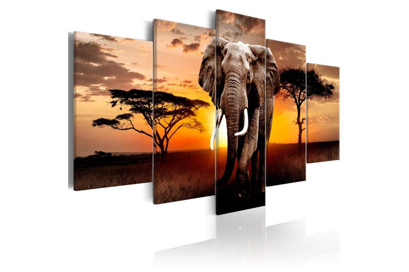 Tavla Elephant Migration 200x100 - Artgeist sp. z o. o. - Inredning - Tavlor & konst - Canvastavlor