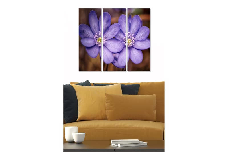 Tavla Floral 3-pack Flerfärgad - 20x50 cm - Inredning - Tavlor & konst - Canvastavlor