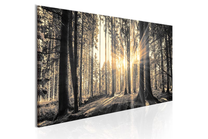 Tavla Forest Sun 120x40 - Artgeist sp. z o. o. - Inredning - Tavlor & konst - Canvastavlor