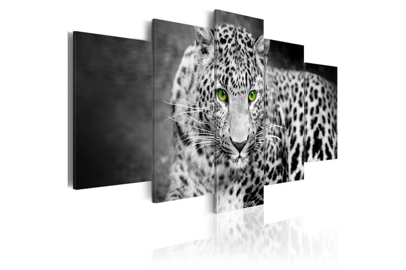 Tavla Leopard Black&White 200x100 - Artgeist sp. z o. o. - Inredning - Tavlor & konst - Canvastavlor