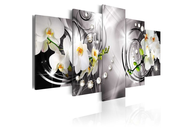 Tavla Orchid Pearls And Diamonds 100x50 - Artgeist sp. z o. o. - Canvastavlor