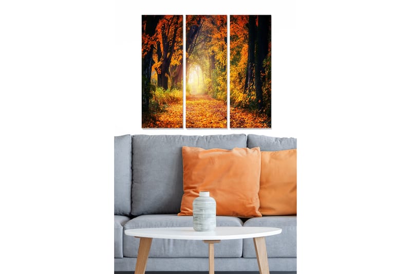 Tavla Scenic 3-pack Flerfärgad - 20x50 cm - Inredning - Tavlor & konst - Canvastavlor