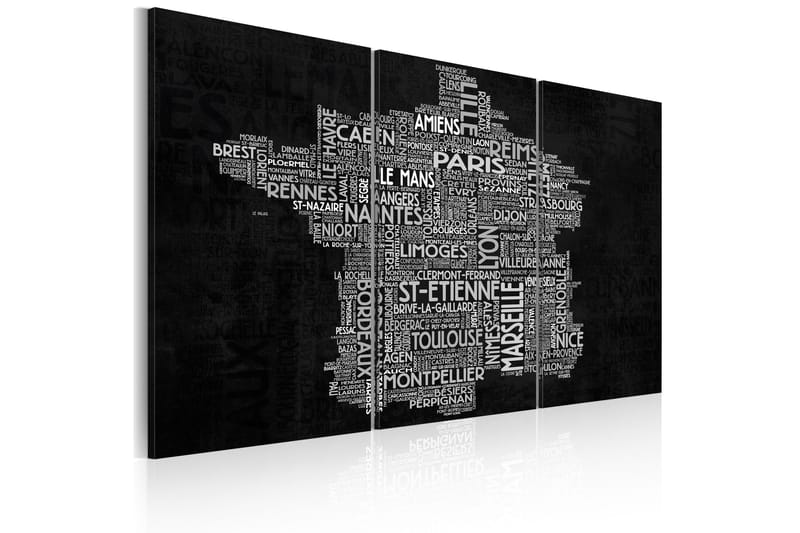 Tavla Text map of France triptych 90x60 - Artgeist sp. z o. o. - Inredning - Tavlor & konst - Canvastavlor