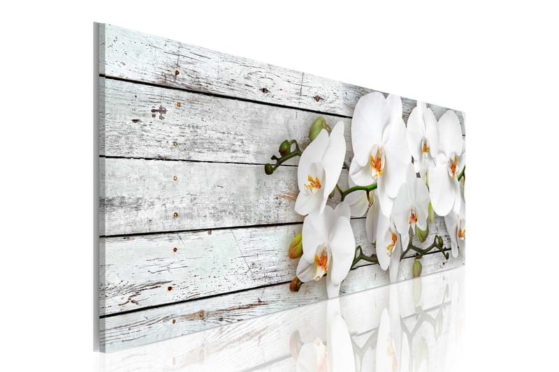 Tavla White Dreams 150x50 - Artgeist sp. z o. o. - Canvastavlor