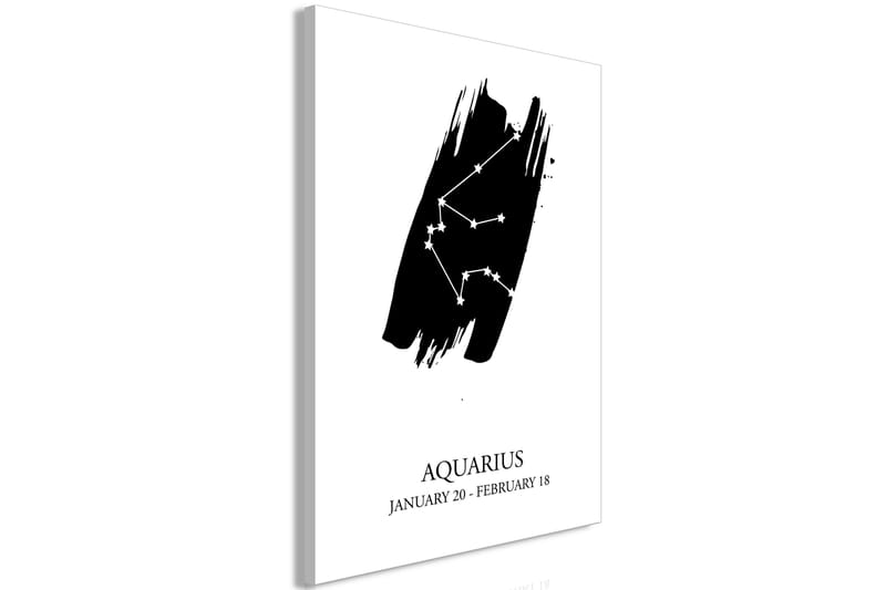 Tavla Zodiac Signs: Aquarius (1 Part) Vertical 60x90 - Artgeist sp. z o. o. - Canvastavlor