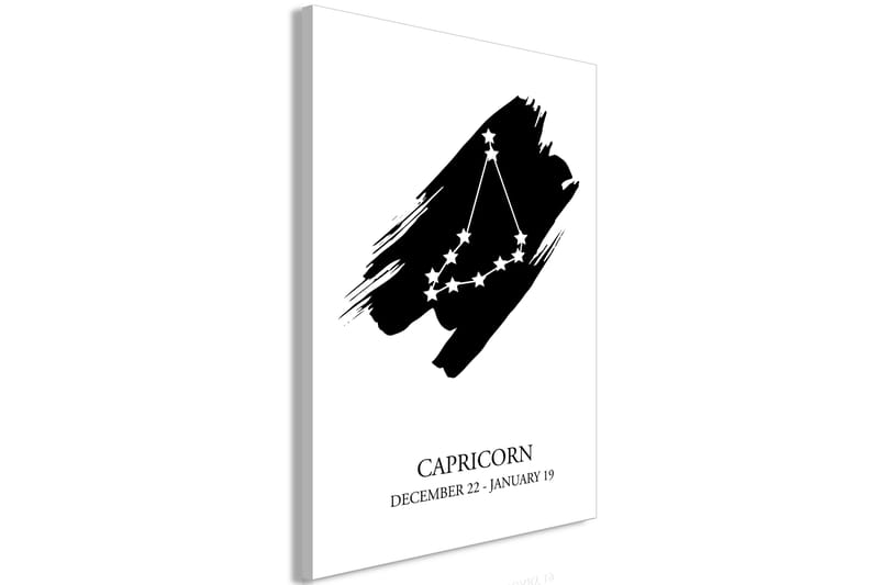 Tavla Zodiac Signs: Capricorn (1 Part) Vertical 60x90 - Artgeist sp. z o. o. - Canvastavlor