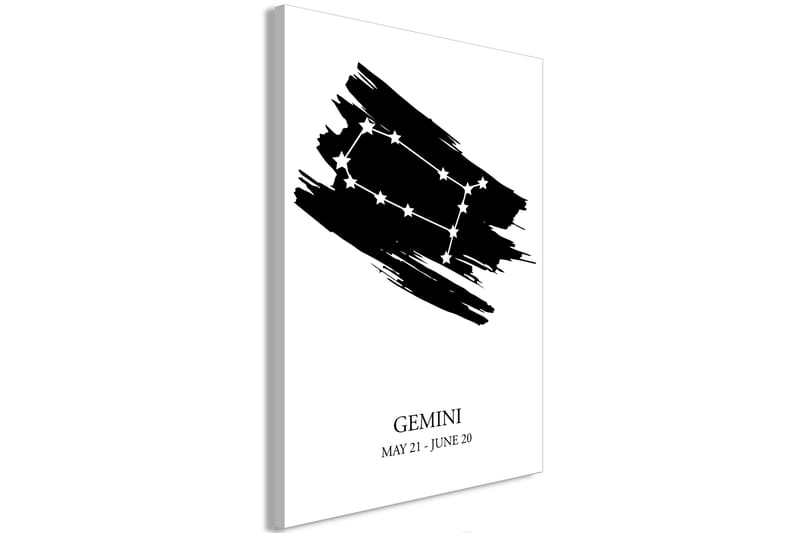 Tavla Zodiac Signs: Gemini (1 Part) Vertical 60x90 - Artgeist sp. z o. o. - Canvastavlor