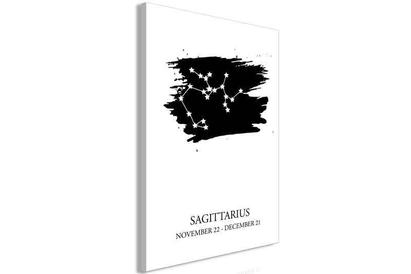 Tavla Zodiac Signs: Sagittarius (1 Part) Vertical 40x60 - Artgeist sp. z o. o. - Canvastavlor