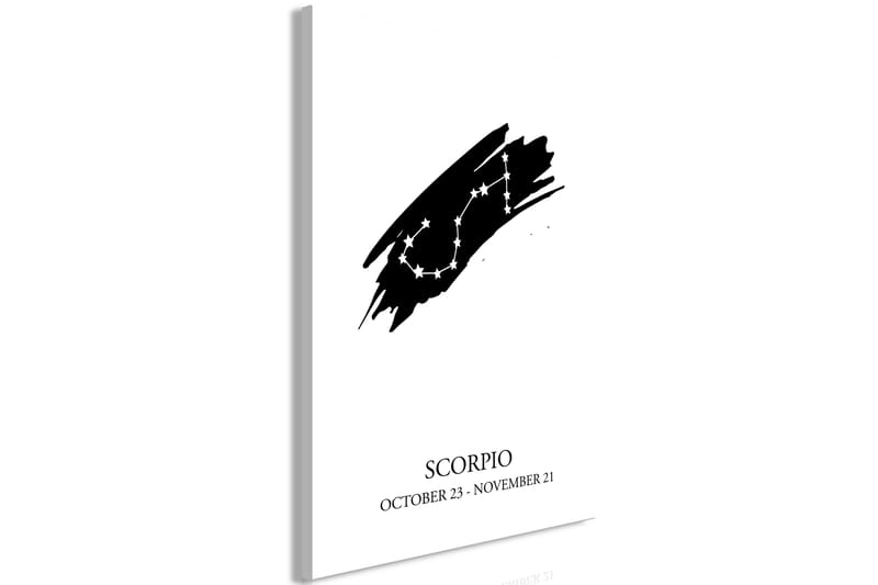 Tavla Zodiac Signs: Scorpio (1 Part) Vertical 40x60 - Artgeist sp. z o. o. - Canvastavlor