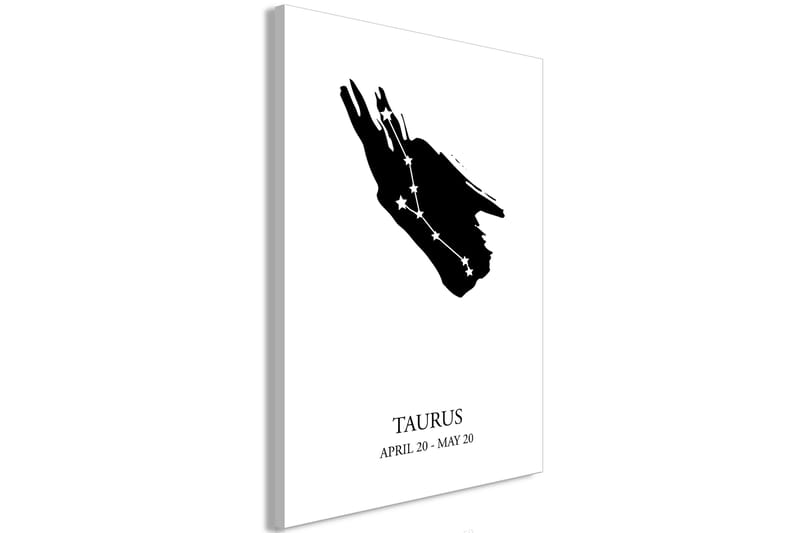Tavla Zodiac Signs: Taurus (1 Part) Vertical 40x60 - Artgeist sp. z o. o. - Canvastavlor