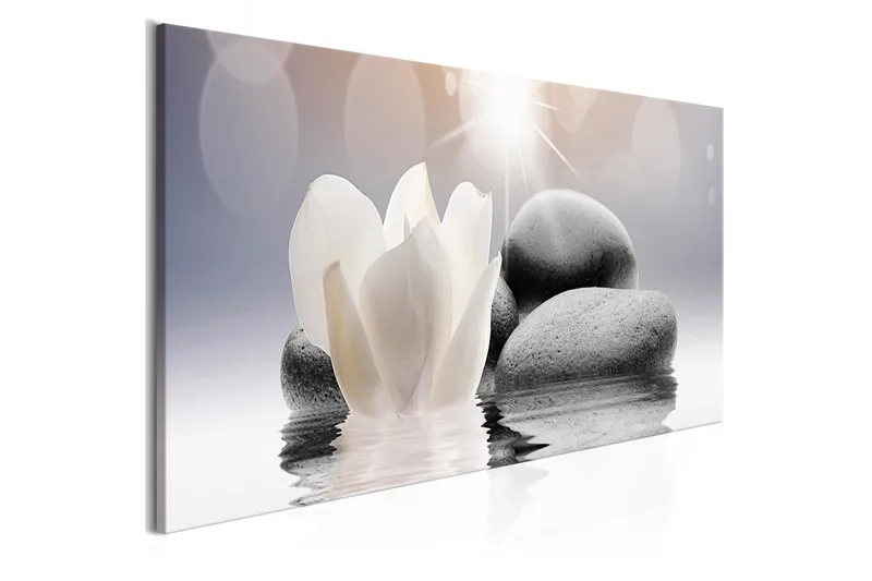 Tavla Pebbles In Water 1 Part Narrow 150x50, Artgeist sp. z o. o.