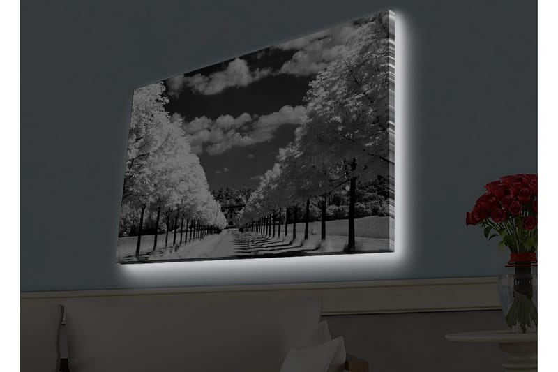 Väggdekor LED-belysning Canvas Målning - Canvastavlor