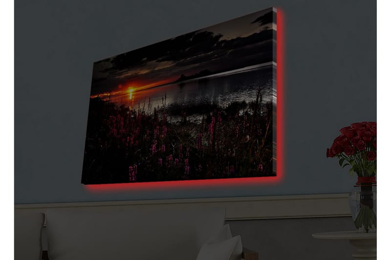 Väggdekor LED-belysning Canvas Målning - Canvastavlor