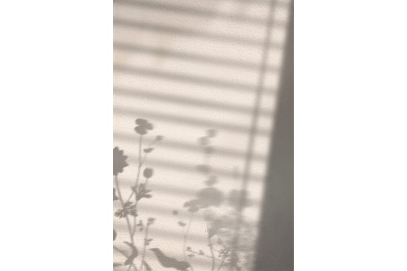 Poster Flower shadow 21x30 cm - Vit - Posters & prints
