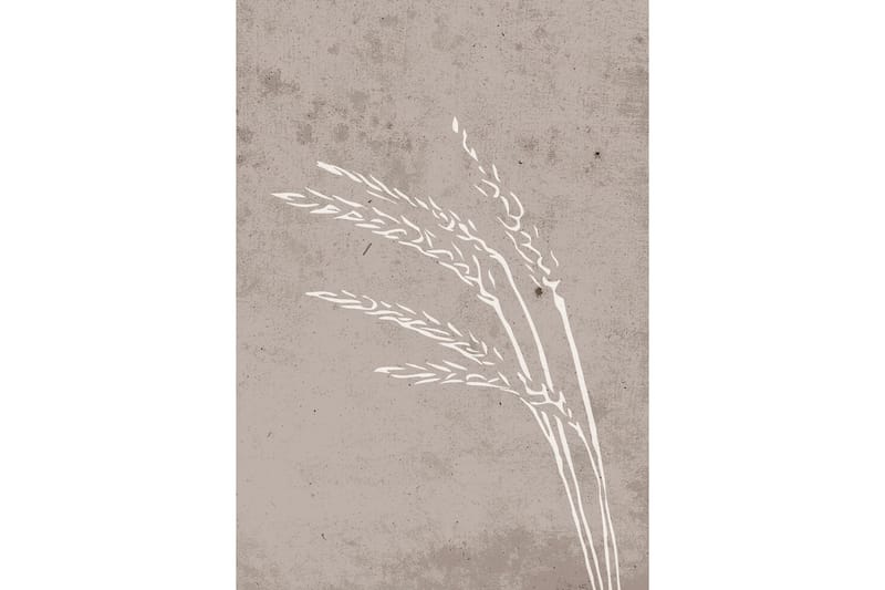 Poster Seeds 21x30 cm - Beige - Posters & prints