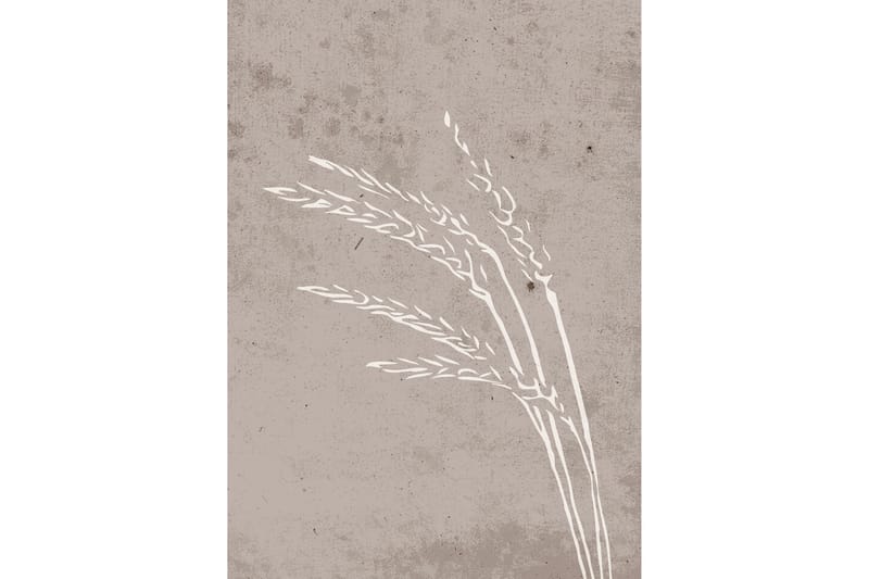 Poster Seeds 50x70 cm - Beige - Posters & prints