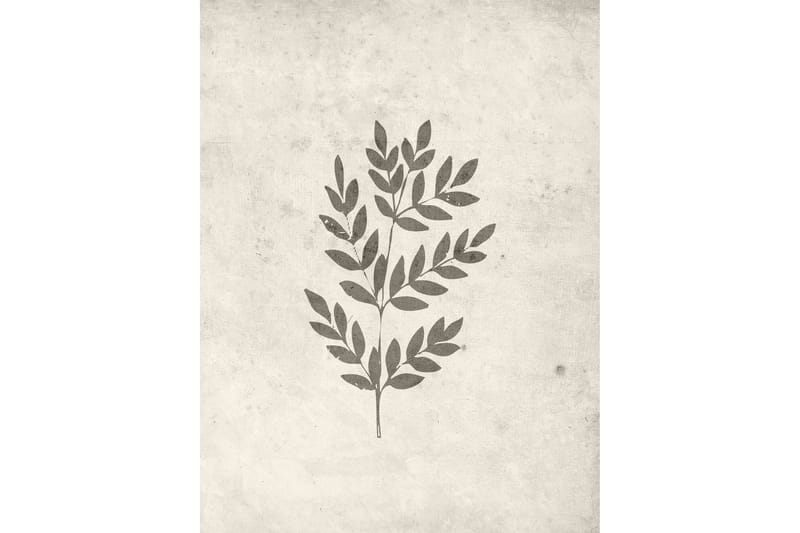 Poster Spring leaf 30x40 cm - Beige - Posters & prints