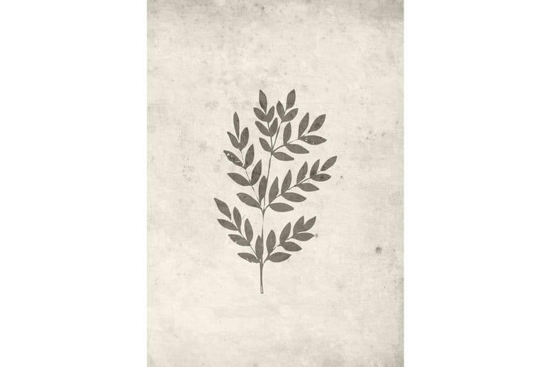 Poster Spring leaf 70x100 cm - Beige - Posters & prints