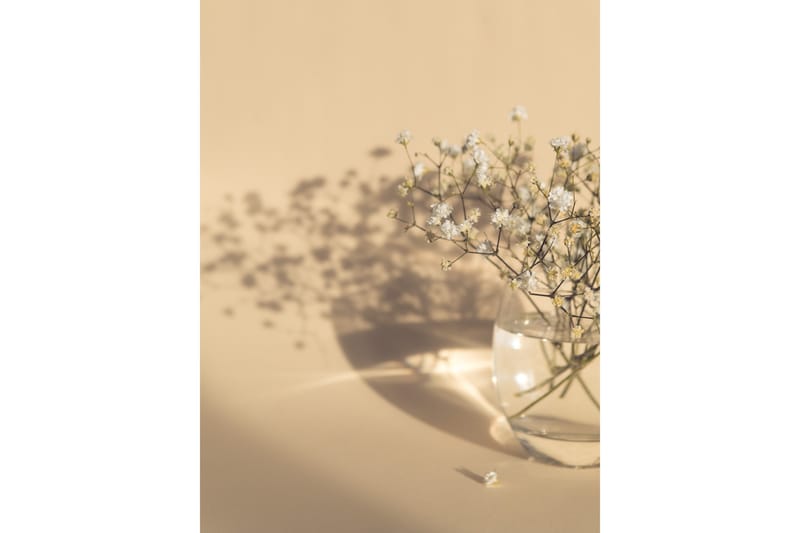 Poster white flowers 50x70 cm - Beige - Posters & prints
