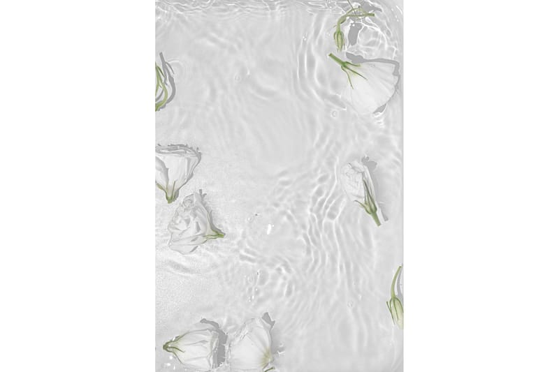 Poster White Roses 70x100 cm - Vit - Inredning - Tavlor & konst - Posters & prints