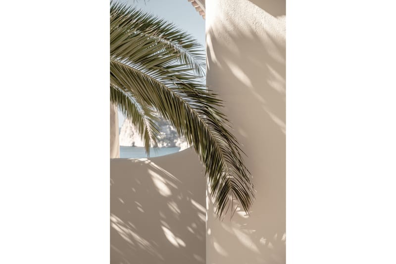 Poster Palmleaf 50x70 cm - Beige - Posters & prints