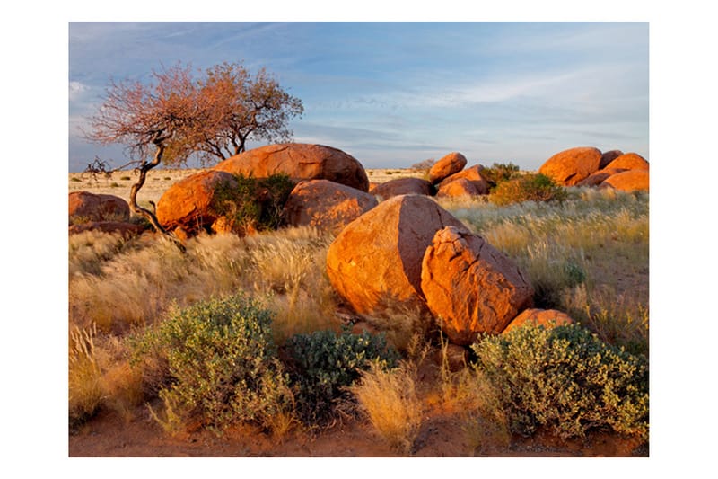 Fototapet Afrikanska Landskapet Namibia 250x193 - Artgeist sp. z o. o. - Inredning - Väggdekor - Tapet & tapettillbehör - Fototapet