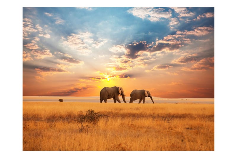 Fototapet Afrikanska Savannen Elefanter 200x154 - Artgeist sp. z o. o. - Fototapet