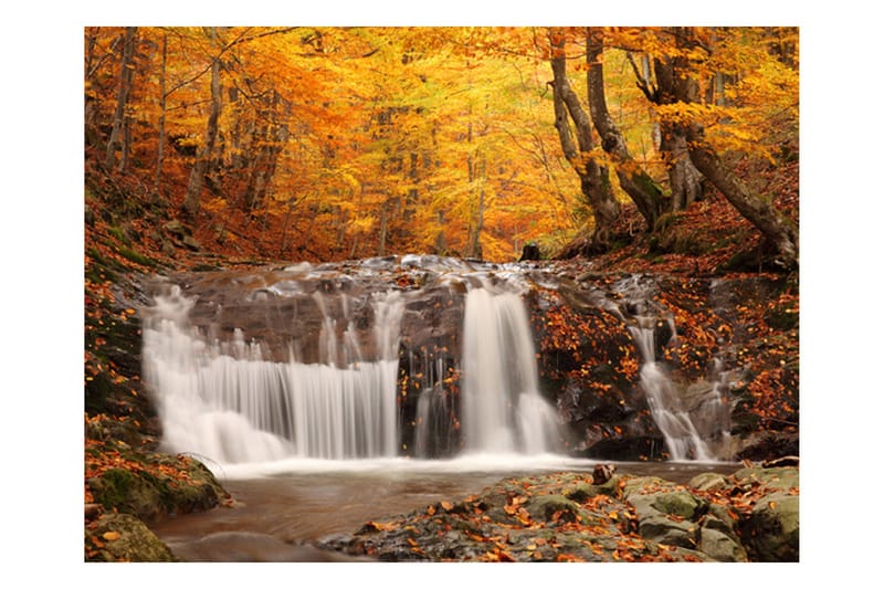 Fototapet Autumn Landscape Waterfall In Forest 400x309 - Artgeist sp. z o. o. - Inredning - Väggdekor - Tapet & tapettillbehör - Fototapet