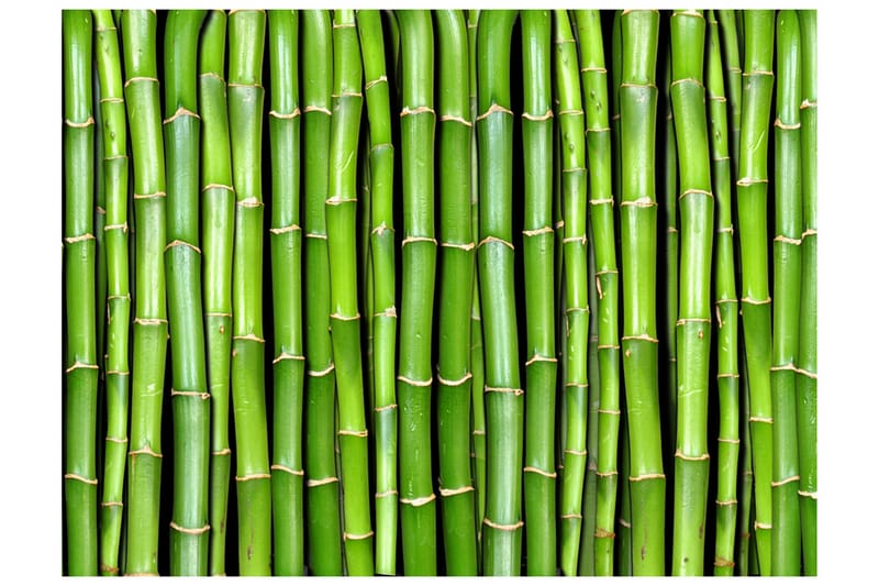 Fototapet Bamboo Wall 400x309 - Artgeist sp. z o. o. - Inredning - Väggdekor - Tapet & tapettillbehör - Fototapet