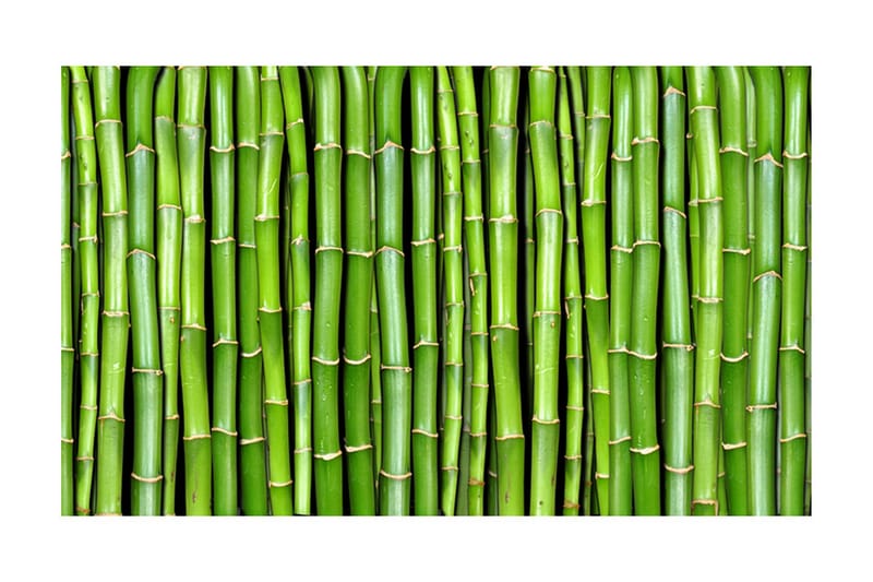 Fototapet Bamboo Wall 450x270 - Artgeist sp. z o. o. - Fototapet