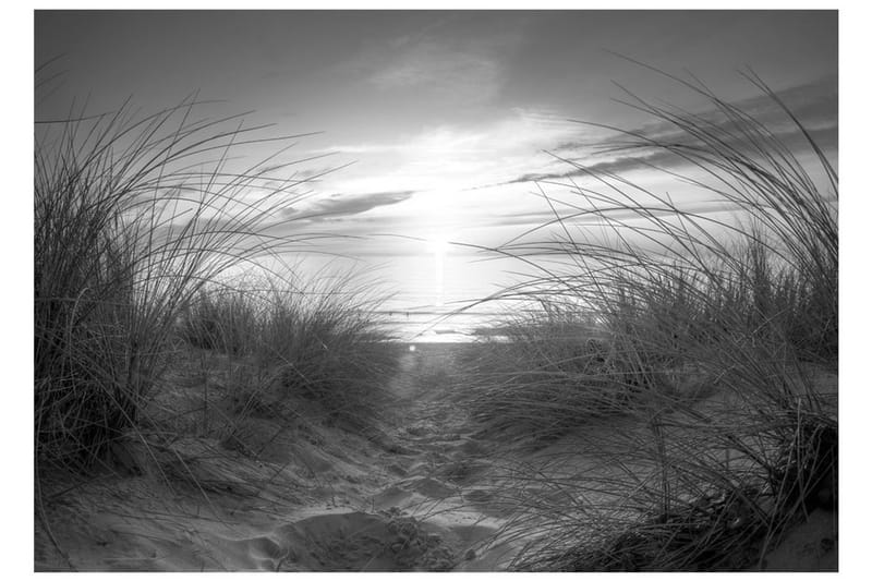 Fototapet Beach Black And White 150x105 - Artgeist sp. z o. o. - Fototapet