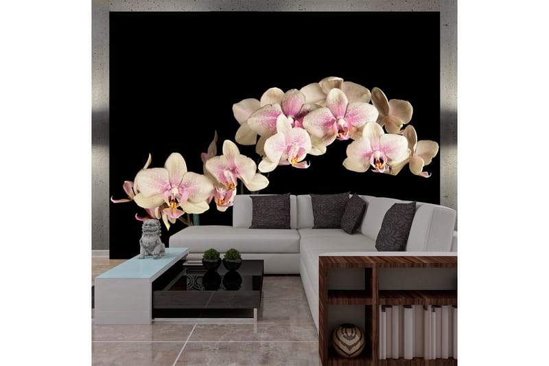 Fototapet Blooming Orchid 200x154 - Artgeist sp. z o. o. - Fototapet