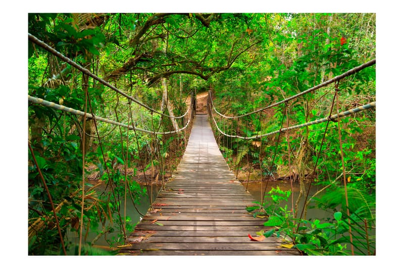 Fototapet Bridge Amid Greenery 200x140 - Artgeist sp. z o. o. - Inredning - Väggdekor - Tapet & tapettillbehör - Fototapet