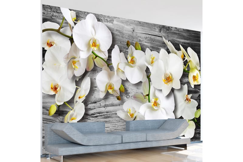 Fototapet Callous Orchids III 150x105 - Artgeist sp. z o. o. - Fototapet
