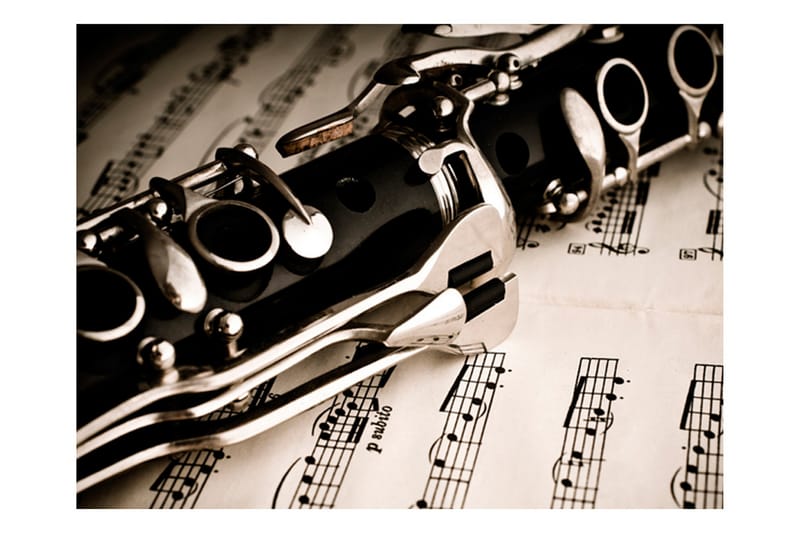 Fototapet Clarinet And Music Notes 200x154 - Artgeist sp. z o. o. - Inredning - Väggdekor - Tapet & tapettillbehör - Fototapet