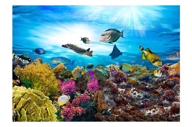 Fototapet Coral Reef 150x105 - Artgeist sp. z o. o. - Fototapet