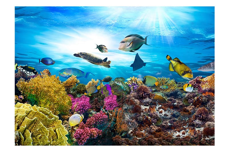 Fototapet Coral Reef 250x175 - Artgeist sp. z o. o. - Fototapet