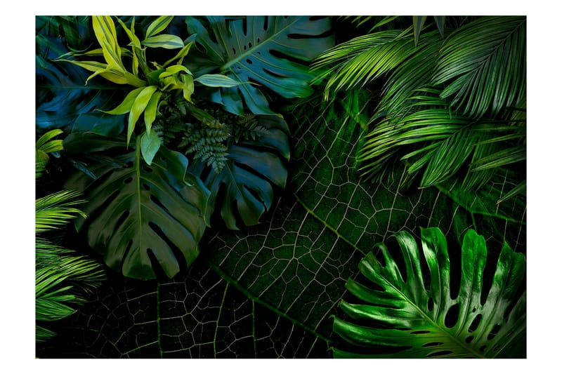 Fototapet Dark Jungle 100x70 - Artgeist sp. z o. o. - Inredning - Väggdekor - Tapet & tapettillbehör - Fototapet