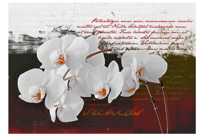 Fototapet Diary And Orchid 350x245 - Artgeist sp. z o. o. - Inredning - Väggdekor - Tapet & tapettillbehör - Fototapet