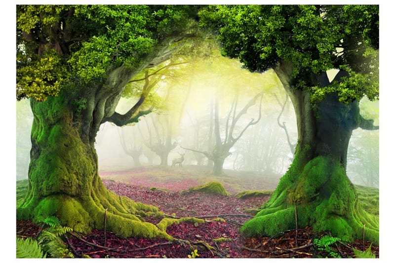 Fototapet Enchanted Forest 100x70 - Artgeist sp. z o. o. - Fototapet