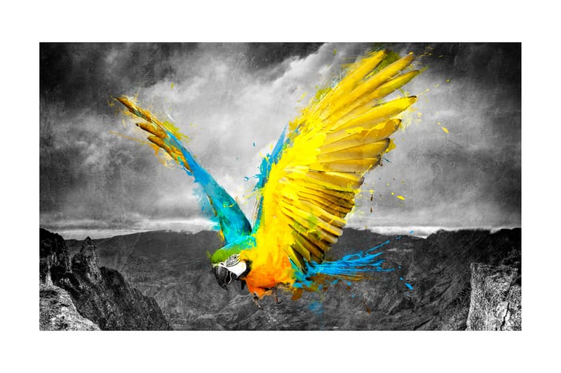 Fototapet Exotic Parrot 450x270 - Artgeist sp. z o. o. - Fototapet