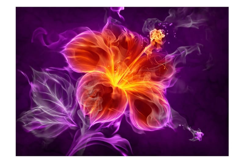 Fototapet Fiery Flower In Purple 100x70 - Artgeist sp. z o. o. - Inredning - Väggdekor - Tapet & tapettillbehör - Fototapet