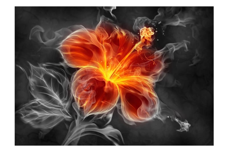 Fototapet Fiery Flower Inside The Smoke 150x105 - Artgeist sp. z o. o. - Inredning - Väggdekor - Tapet & tapettillbehör - Fototapet