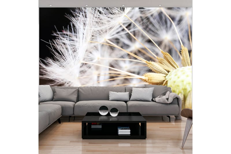 Fototapet Fluffy Dandelion 100x70 - Artgeist sp. z o. o. - Inredning - Väggdekor - Tapet & tapettillbehör - Fototapet