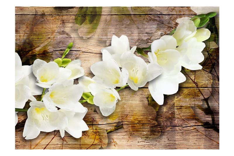 Fototapet Freesia On Wood 250x175 - Artgeist sp. z o. o. - Inredning - Väggdekor - Tapet & tapettillbehör - Fototapet