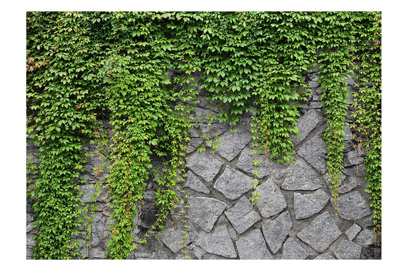 Fototapet Green Wall 100x70 - Artgeist sp. z o. o. - Fototapet