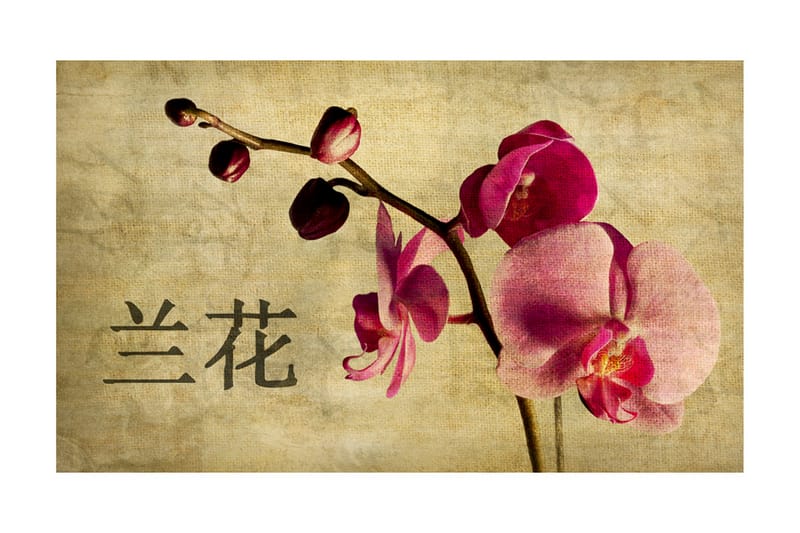 Fototapet Japanese Orchid 450x270 - Artgeist sp. z o. o. - Fototapet