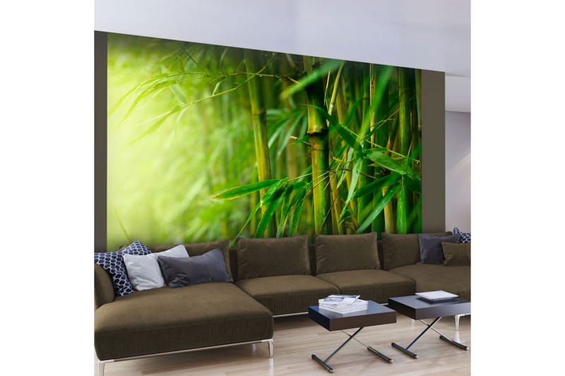 Fototapet Jungle Bamboo 300x231 - Artgeist sp. z o. o. - Inredning - Väggdekor - Tapet & tapettillbehör - Fototapet